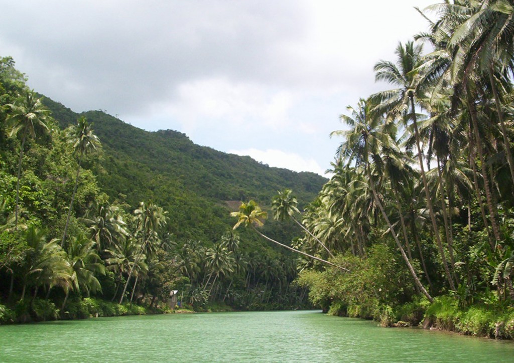 Bohol