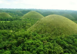 Bohol