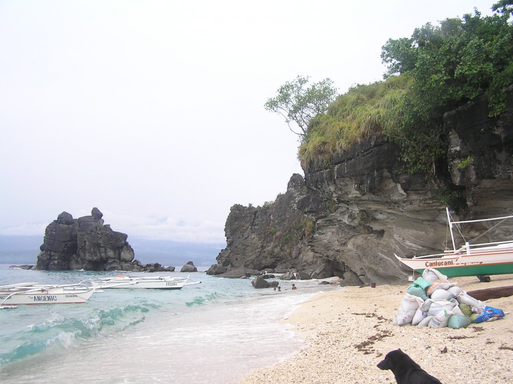 Apo Island, Negros Oriental