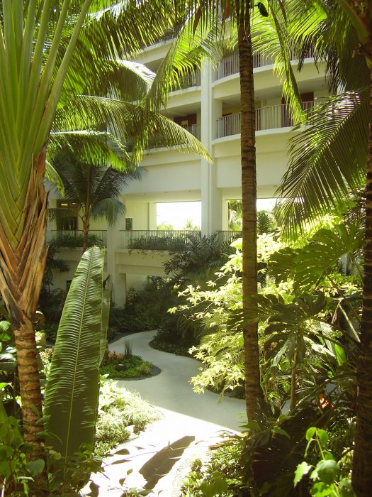 Shangri-la mactan