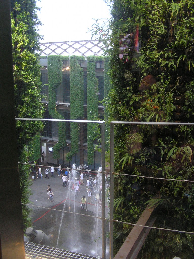 OLYMPUS DIGITAL CAMERA Shanghai, China