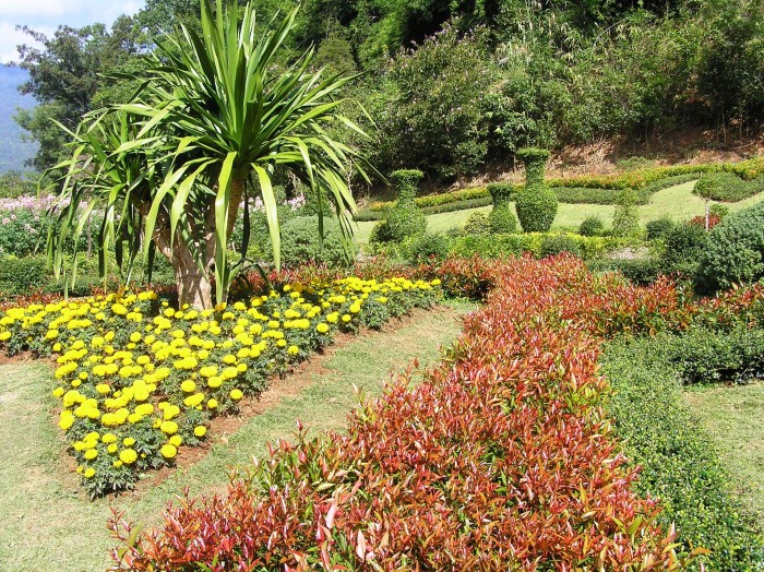 Queen Sirikit Botanical Garden