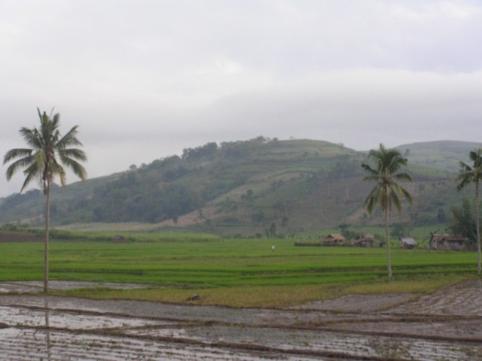 Kanlaon city