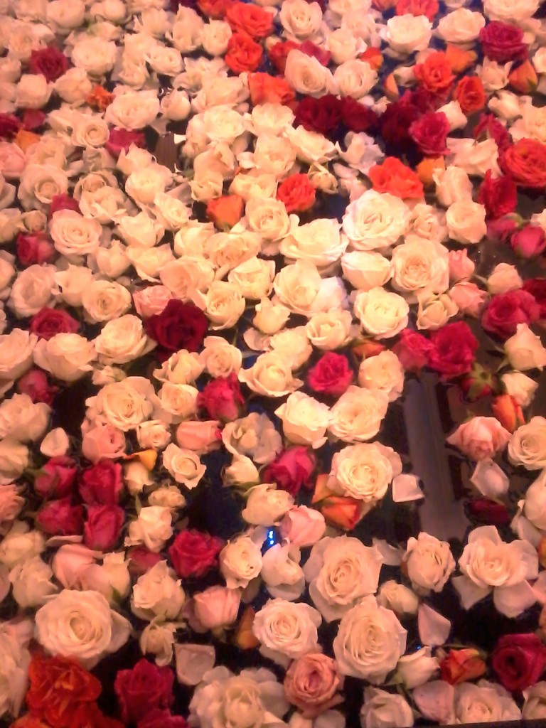 Don't you want to lay down on a bed of roses?