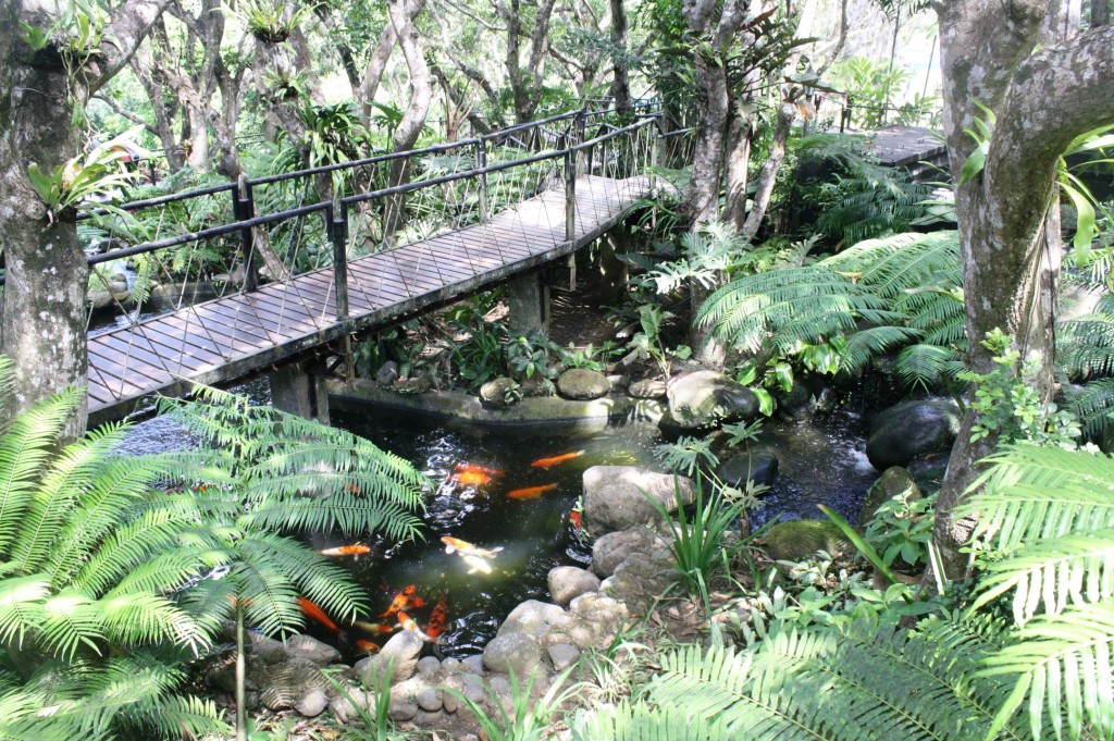 "Close to nature, closer to God" is Calaruega's mantra. Shown is their mini-park inside the compound.