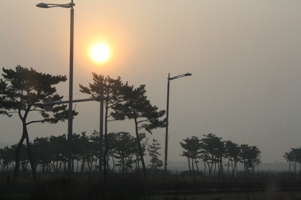 A glowing sunrise partly enveloped by the morning fog.