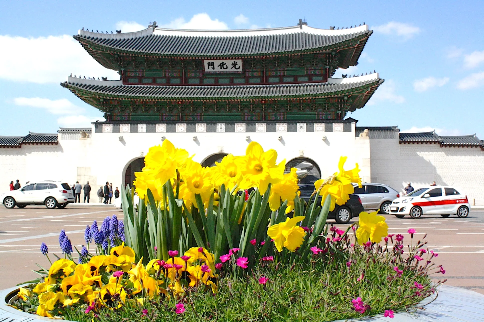 Spring in Seoul: Chasing Cherry Blossoms in a City Waking Up
