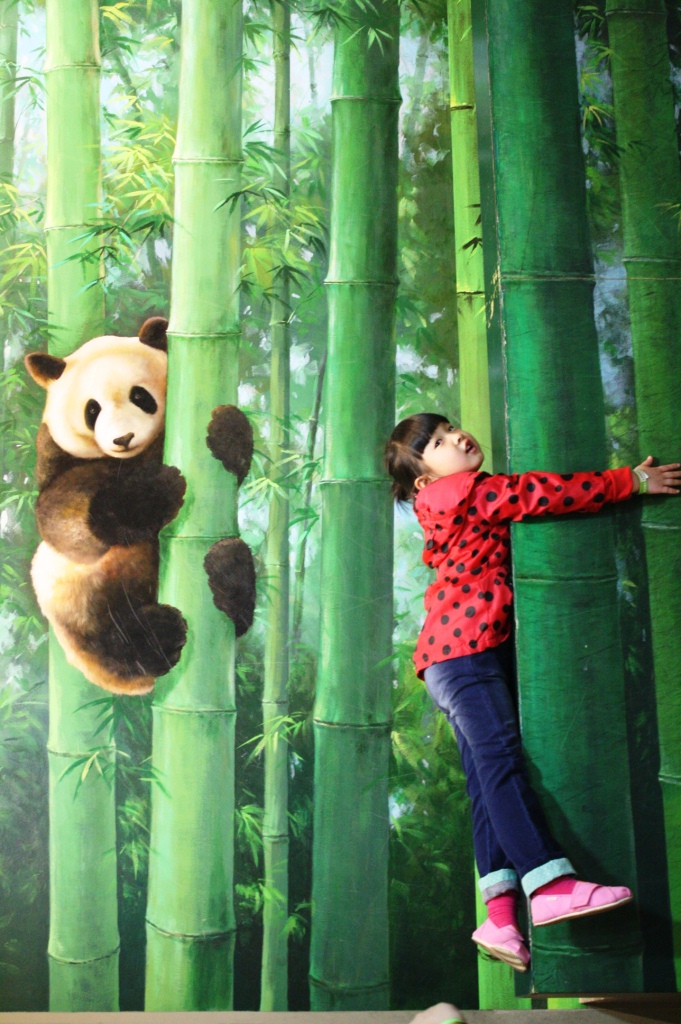 Elusive? I found this painting at Seoul's Trick Eye museum and took a photo of the kid.