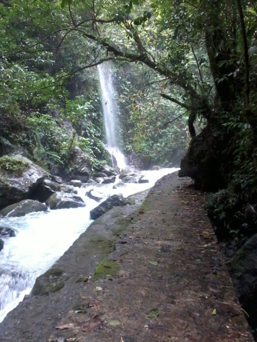 Baler