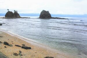 Baler
