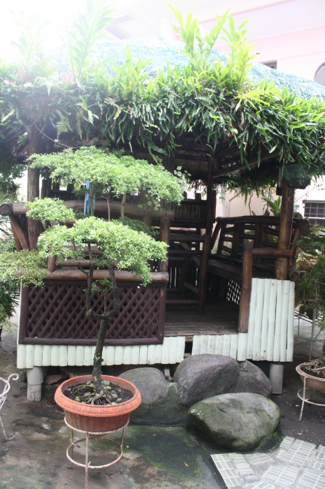 The hut in the midst of the buildings.