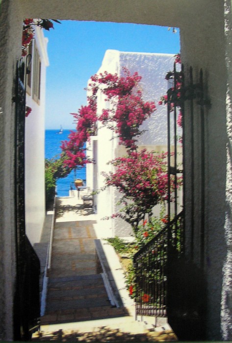 I long to walk these alleys in those towns and cities in the Greek Islands.