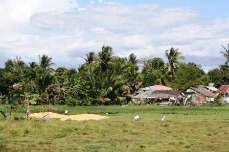 Across the church is a grassland.