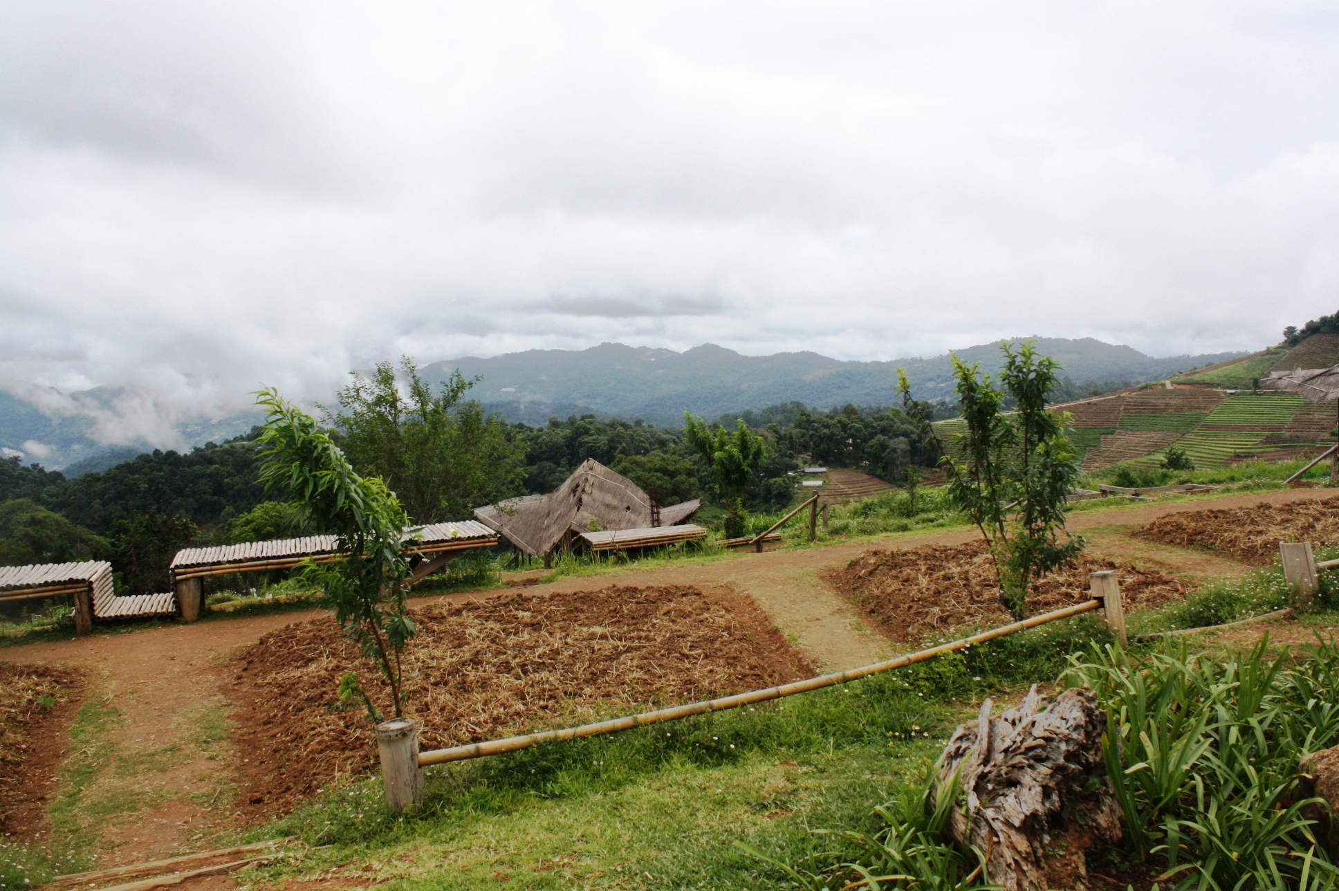 Looking down at more plantations.