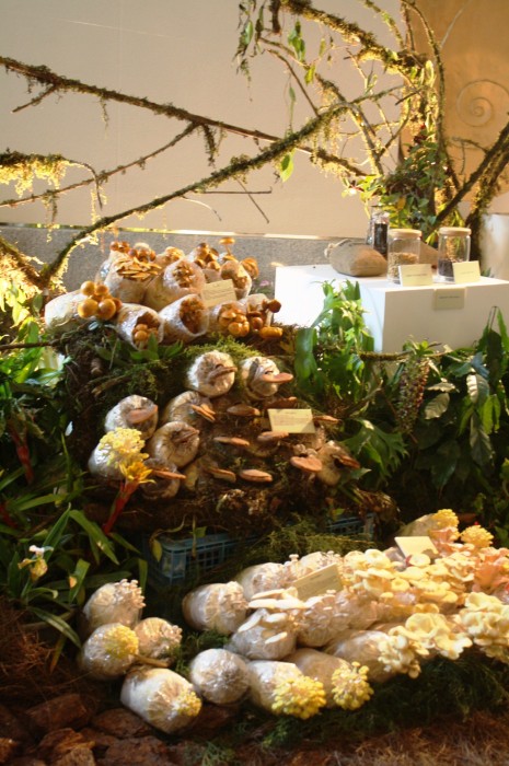 Farming and agricultural technology are also displayed in one of the booths.