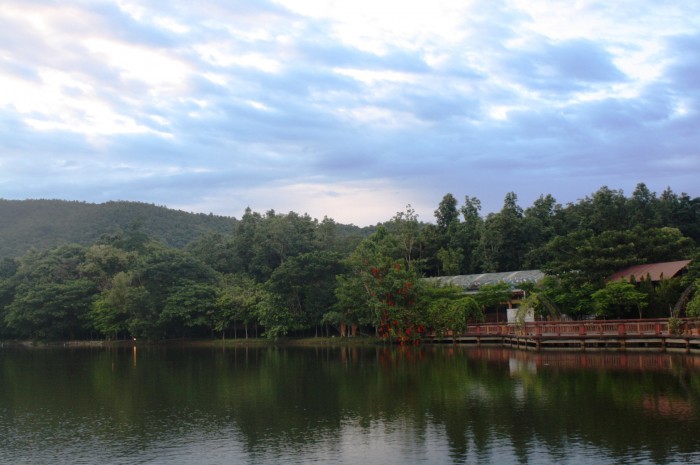 The swan lake.