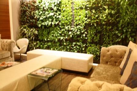 Vietura's lounge. The whole institute is an oasis with its green walls.