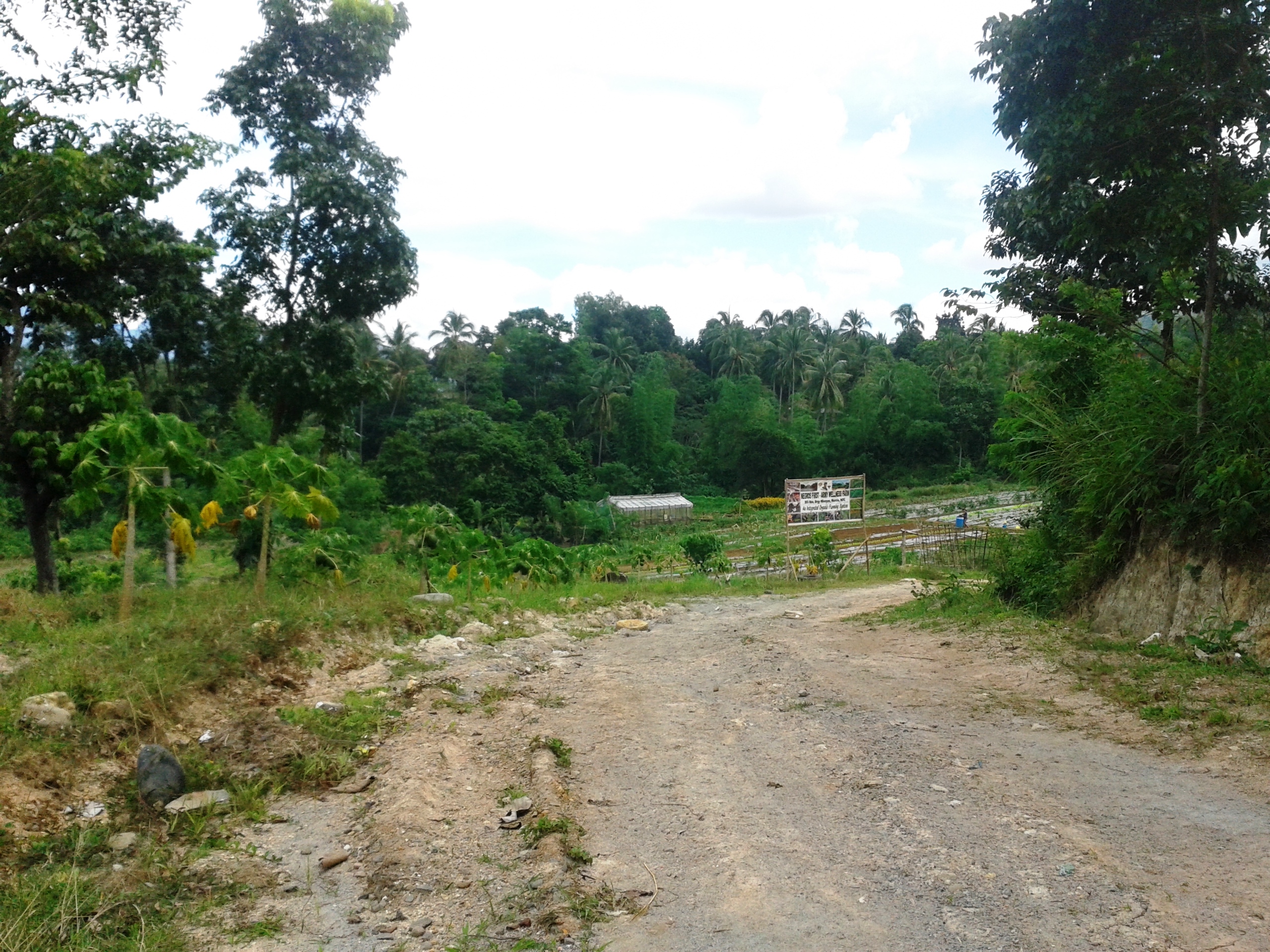 Negros First-Army Wellness Farm