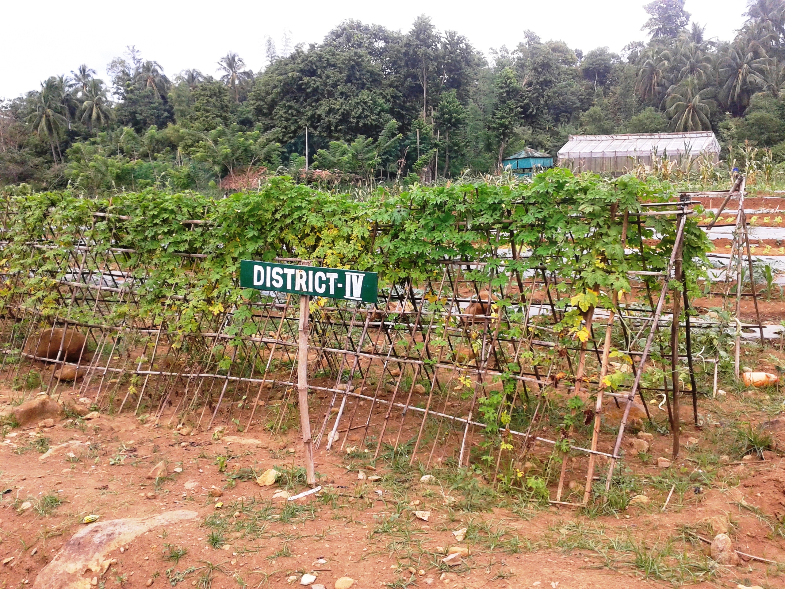 Negros First-Army Wellness Farm