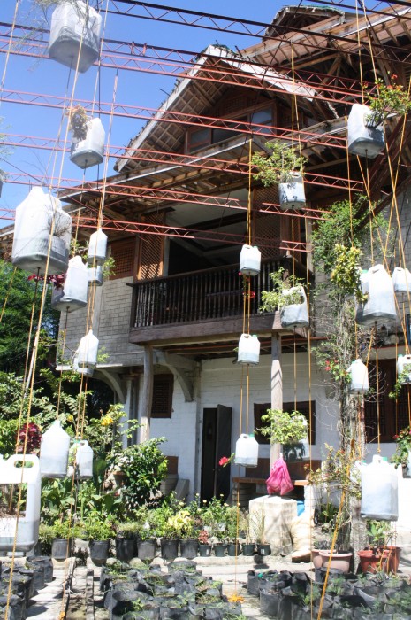 Hanging gardens?