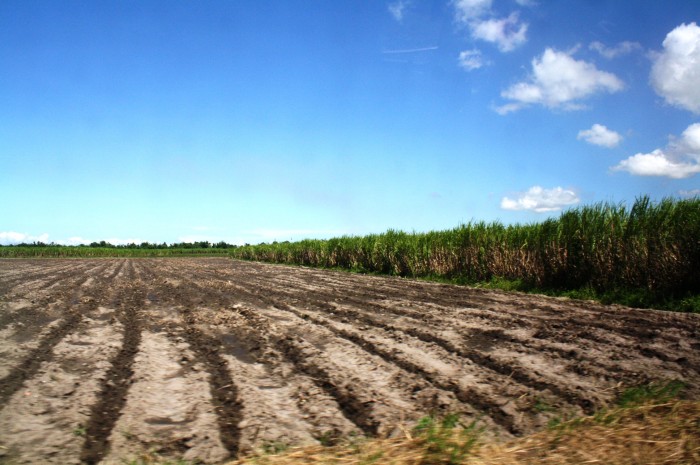 The landscape to the Fresh Start Organic Farm.