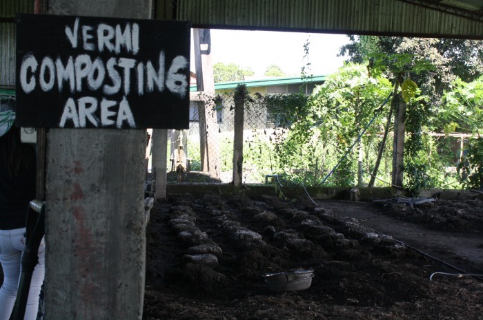 The area where they do vermi composting.
