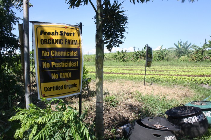 The farm is free of any chemicals or pesticide.