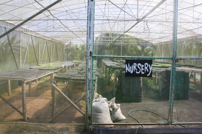 The nursery where the plants are cultivated.