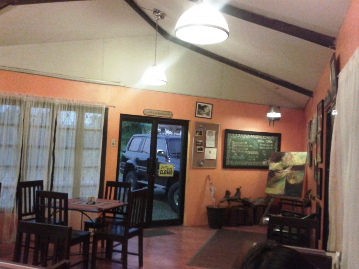 The colorful interiors of Imbiss.