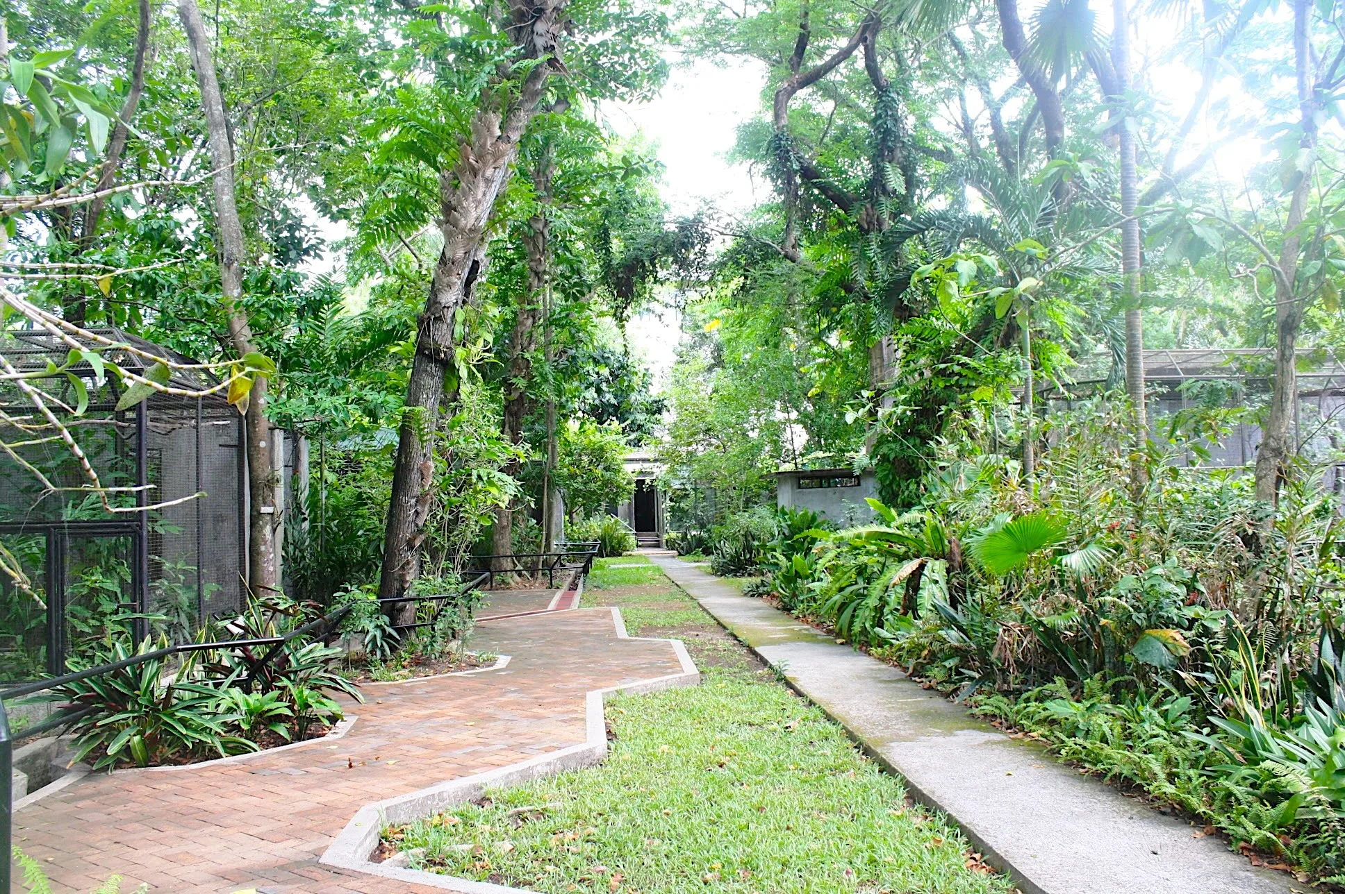 Negros Forests and Ecological Foundation: Nature in the City