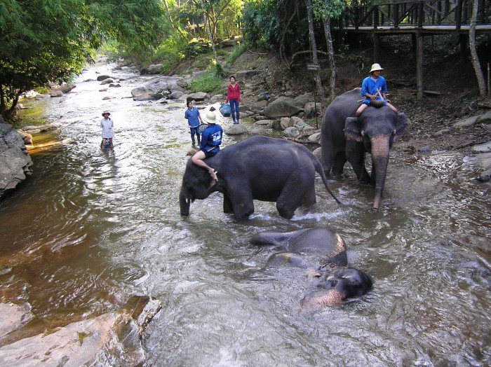 There are those who travel to commune with nature.