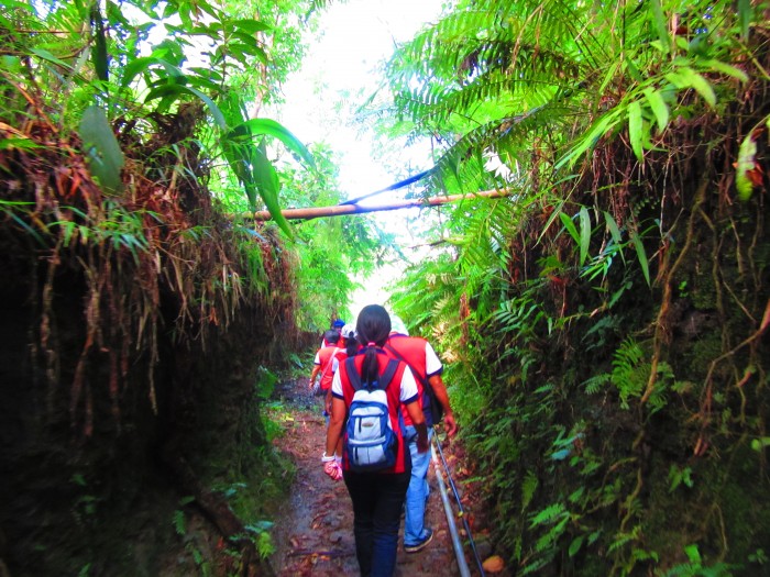 The trail that we had to traverse.