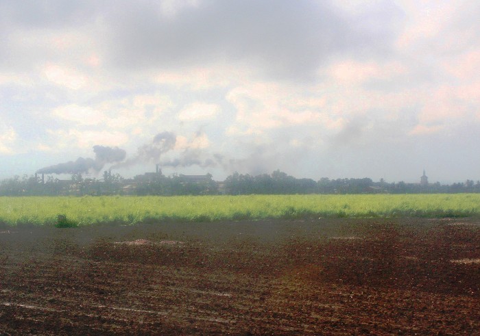 A sugar factory from afar, operating during milling season.