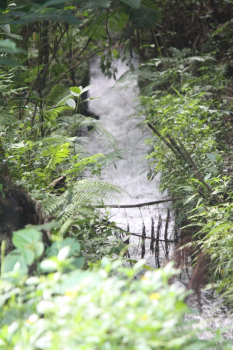 The raging waters going downstream.