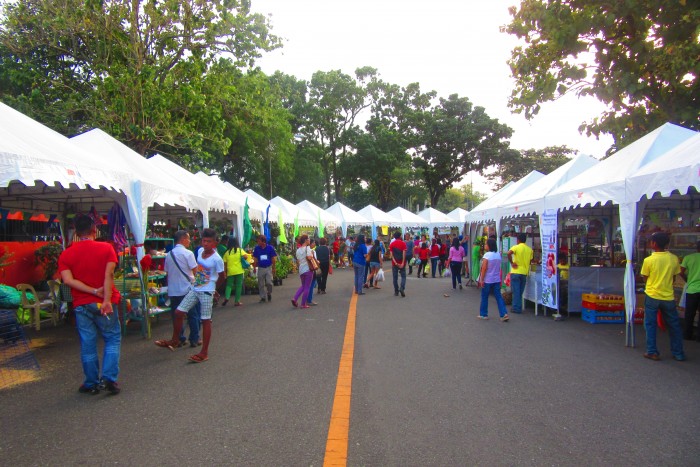 10th Negros Island Organic Farmers Festival