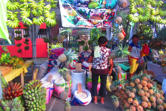 10th Negros Island Organic Farmers Festival