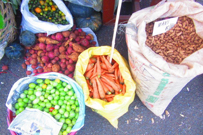 10th Negros Island Organic Farmers Festival