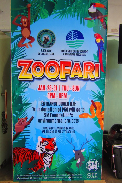 Zoofari