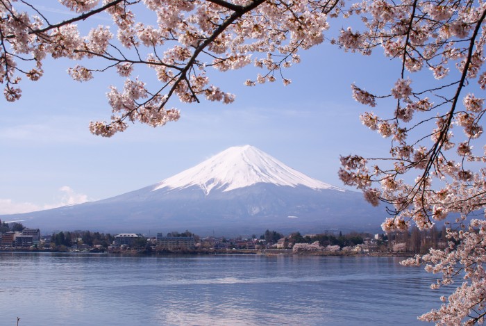 "Lake Kawaguchiko Sakura Mount Fuji 3" by Midori - Own work. Licensed under CC BY 3.0 via Wikimedia Commons