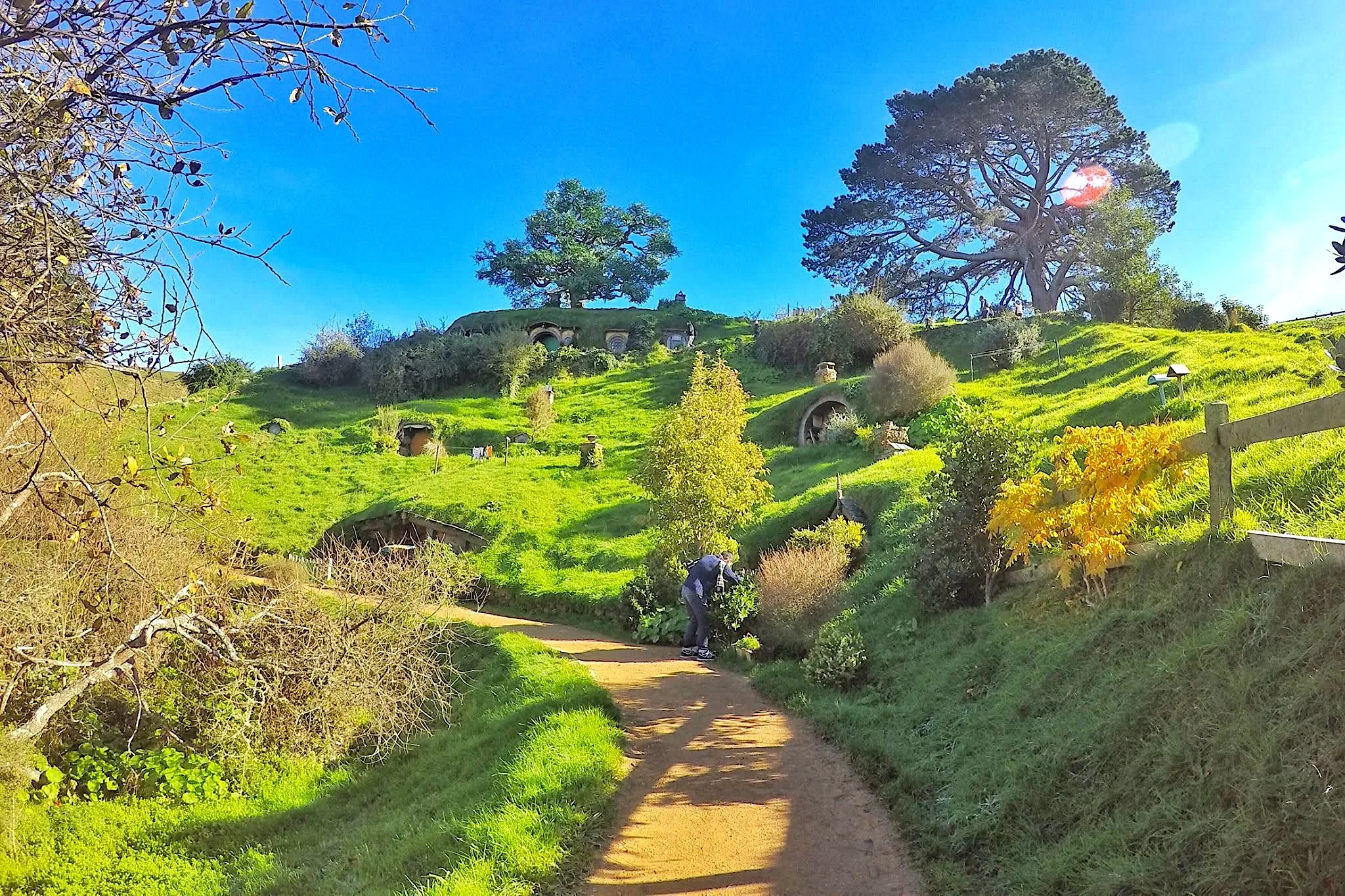 Getting Tips for an Auckland Adventure