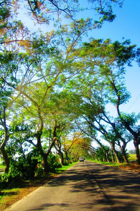 Bago City, Negros Occidental