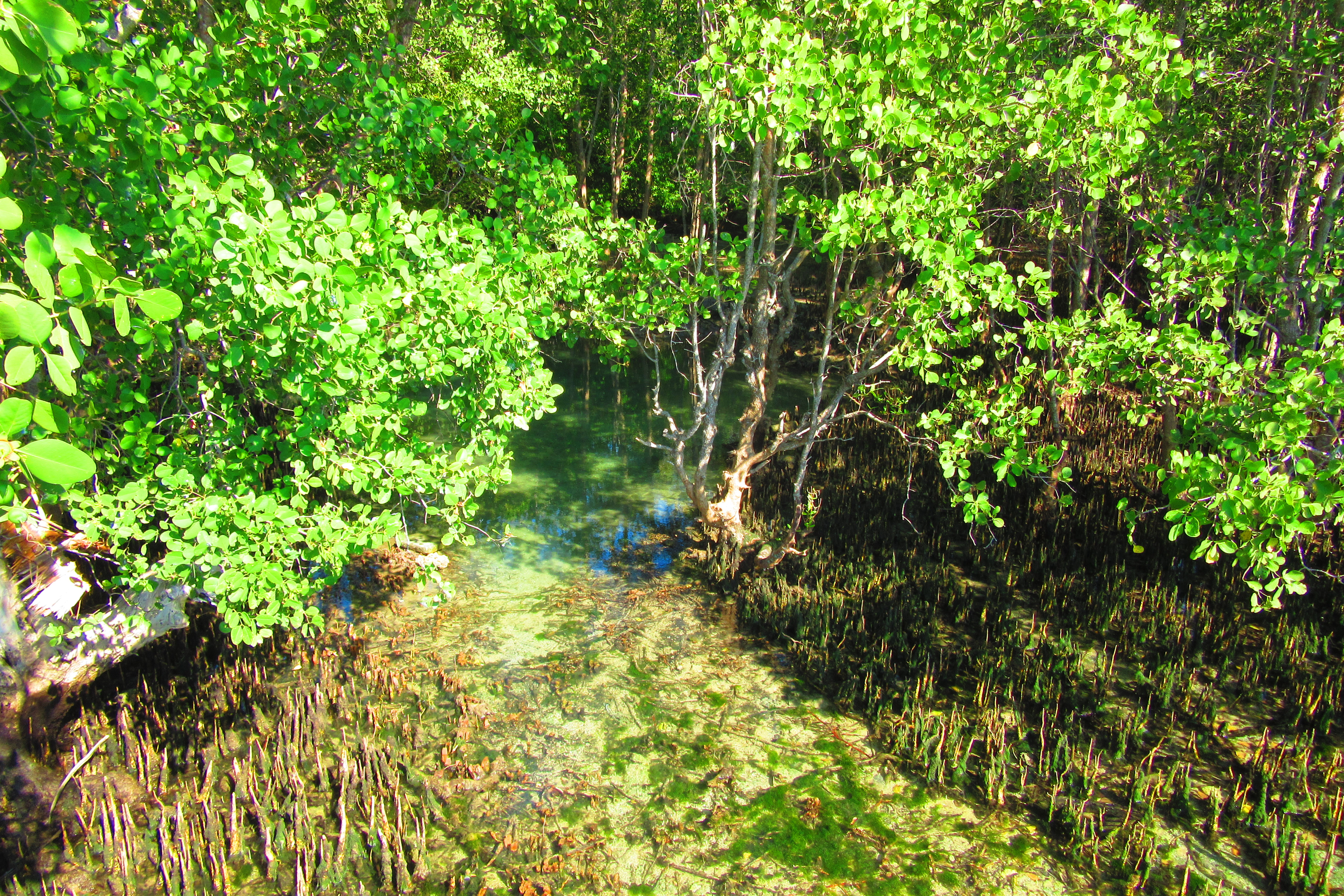 Guiwanon Spring Park