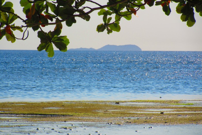 Apo Island
