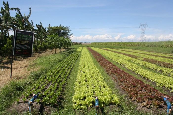 Fresh Start Farm