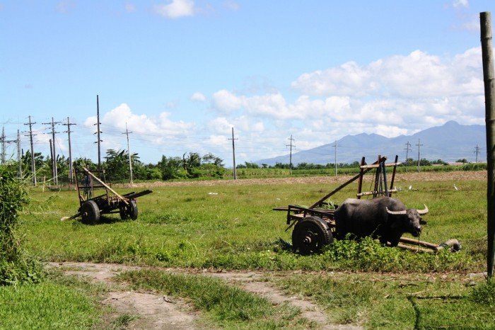 Negros Island