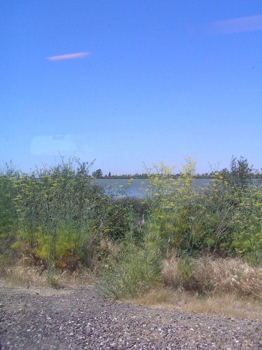 Amtrak