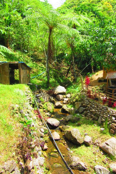 Balokon Spring Resort