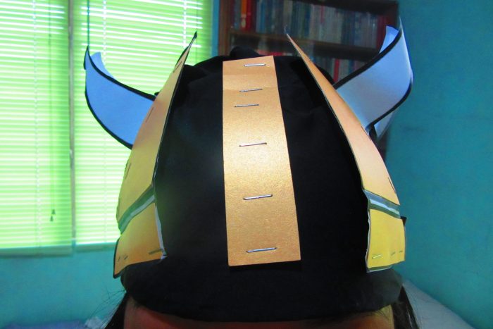 Vikings