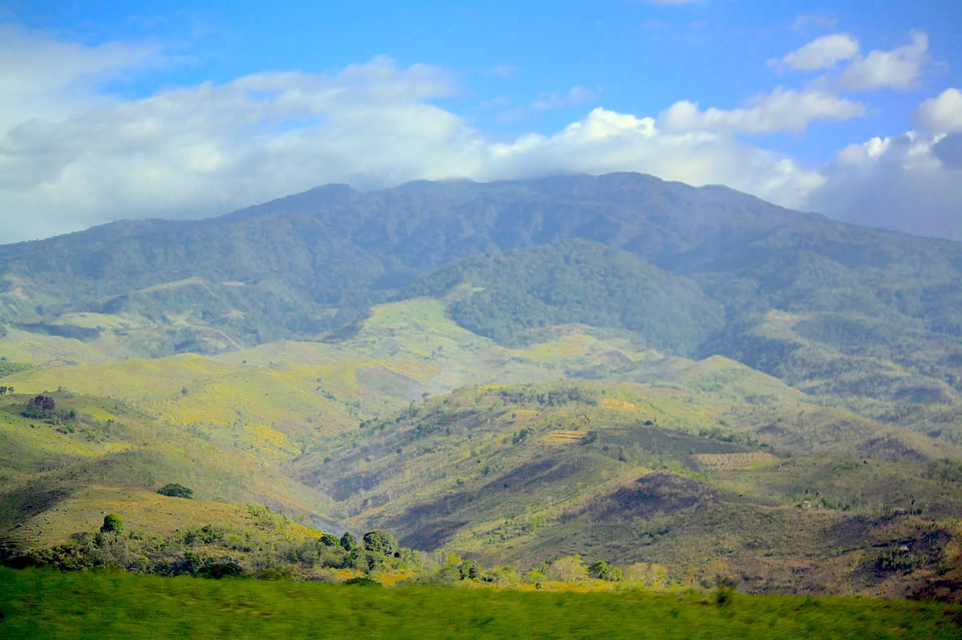 Don Salvador Benedicto