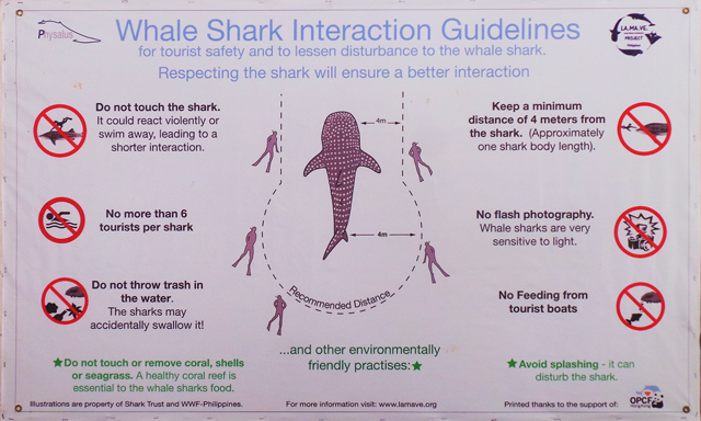 Oslob whale shark rules